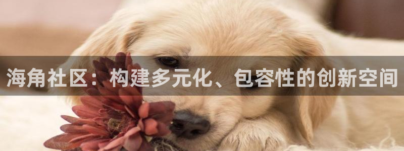 海角社区俱乐部 安卓：海角社区：构建多元化、包容性的创新空间