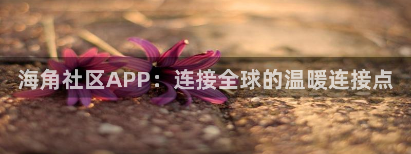 hj08海角社区大事记：海角社区APP：连接全球的温暖连接点