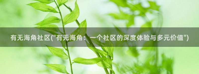 海角社区是网站还是软件：有无海角社区(\