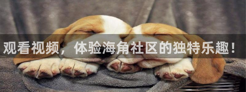 海角社区回来的路：观看视频，体验海角社区的独特乐趣！