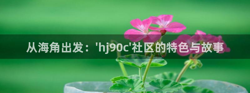 海角社区hjc8c：从海角出发：\'hj90c\'社区的特色与故事