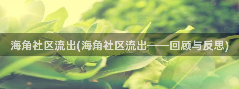 海角社区不能登了吗：海角社区流出(海角社区流出——回顾与反思)