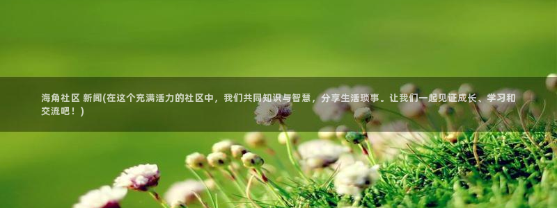 北海海角社区卫生院：海角社区 新闻(在这个充满活力的社区中，我们共同知识与智慧，分享生活琐事。让我们一起见证成长、学习和交流吧！)