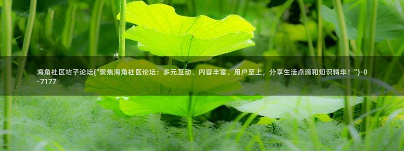 hj9a3海角社区在线：海角社区帖子论坛(\